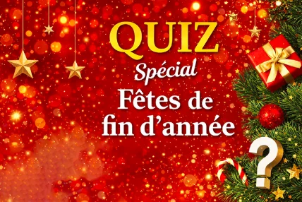 Quel est votre profil festif ?🎄